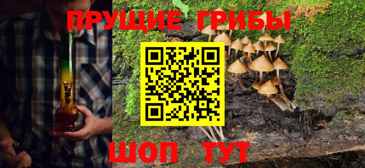 где продают наркотики  Галлюциногенные грибы прущие грибы  Дмитров  Вход с VPN  Псилоцибиновые грибы прущие грибы 